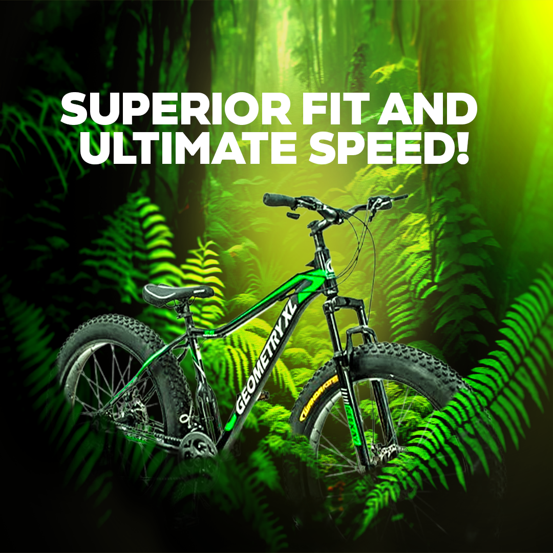 Geometry Bike Rudra Cycle
